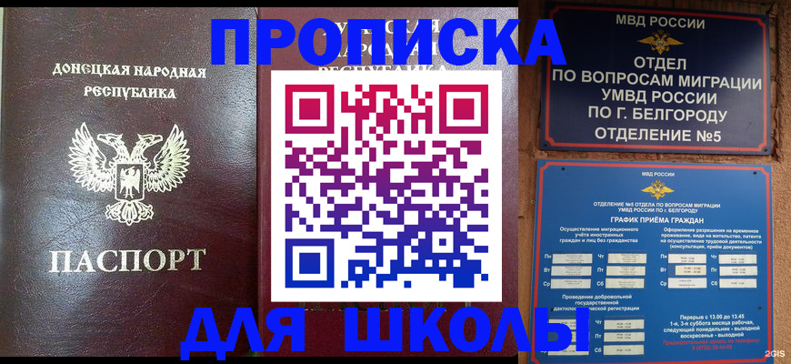 прописка для работы в Камчатской области
